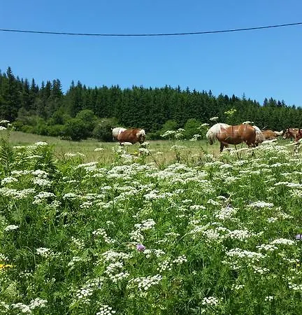 Vvf Haute Loire 3* Saint-Julien-Chapteuil